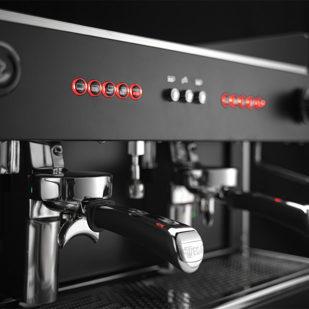 Waddi Speciality Coffee - Wega - Pegaso